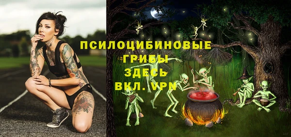 альфа пвп Бородино