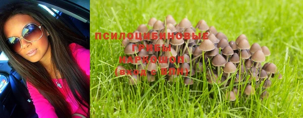 альфа пвп Бородино